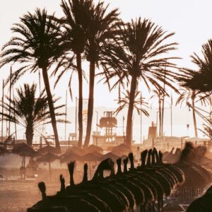 Estudio de Viabilidad de Inversión Inmobiliaria